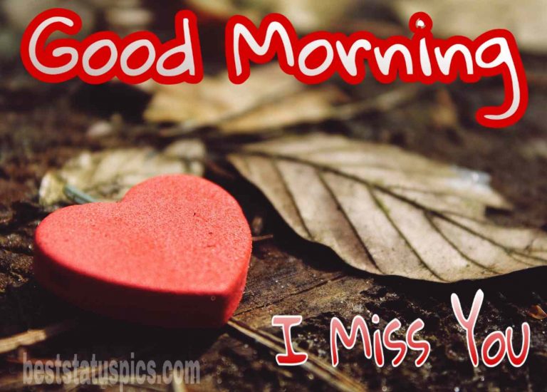 51+ Good Morning Sweet Love Images and DP For WhatsApp Best Status Pics