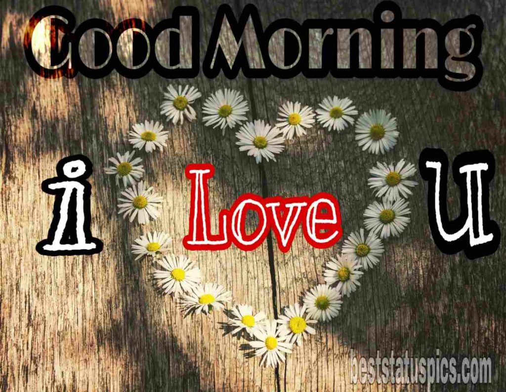 Good Morning Love Images For WhatsApp DP Status [2021] | Best Status Pics