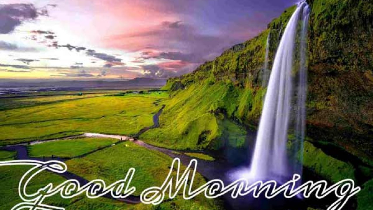 Top 51 Beautiful Good Morning Nature & Scenery Images HD - Best ...