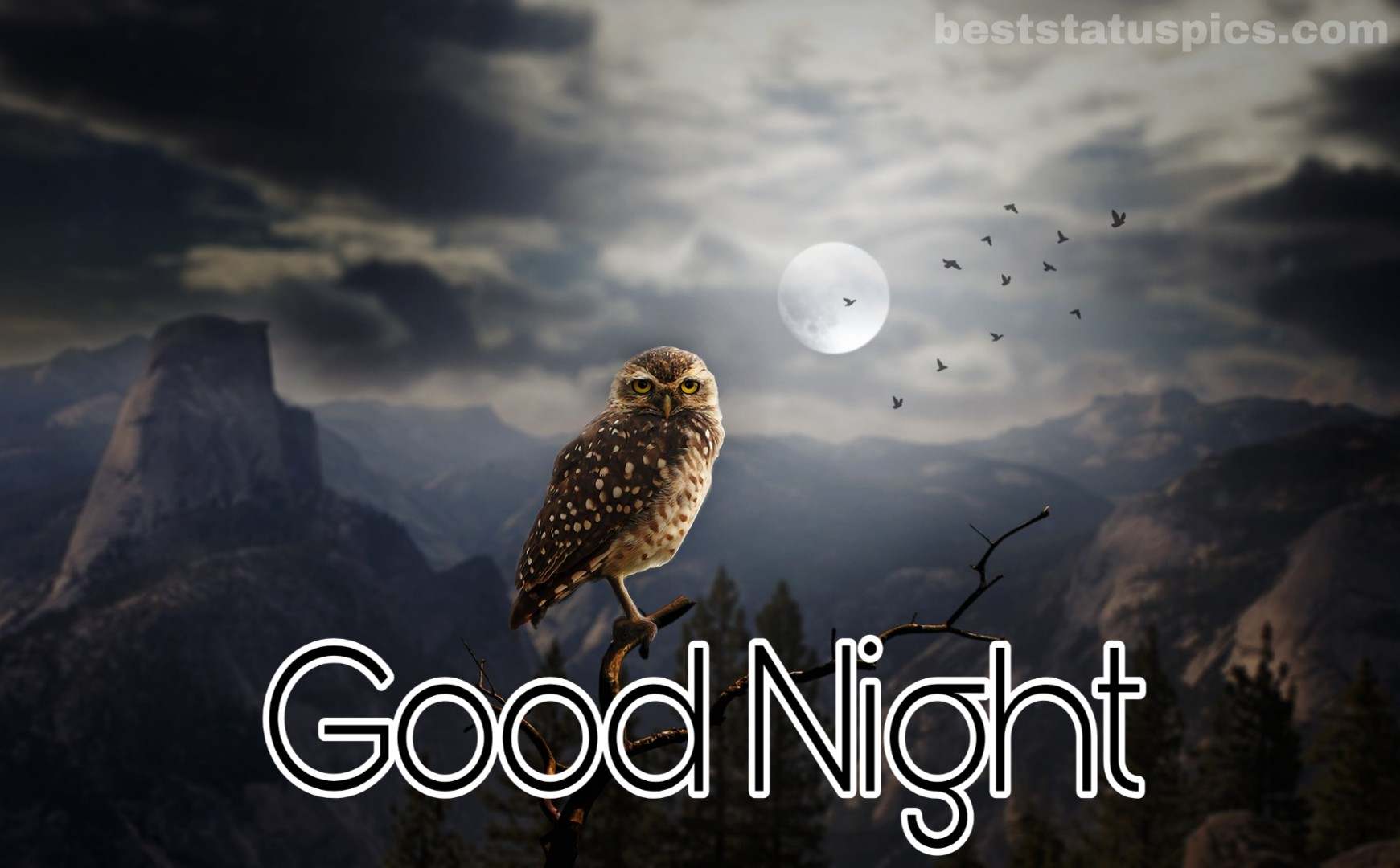 299+ Good Night Sweet Dreams Nature Images HD [2022] - Best Status Pics