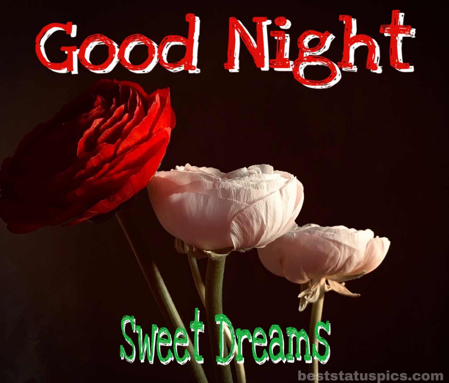 121+ Romantic Good Night Rose Flower Images HD [2024] Best Status Pics