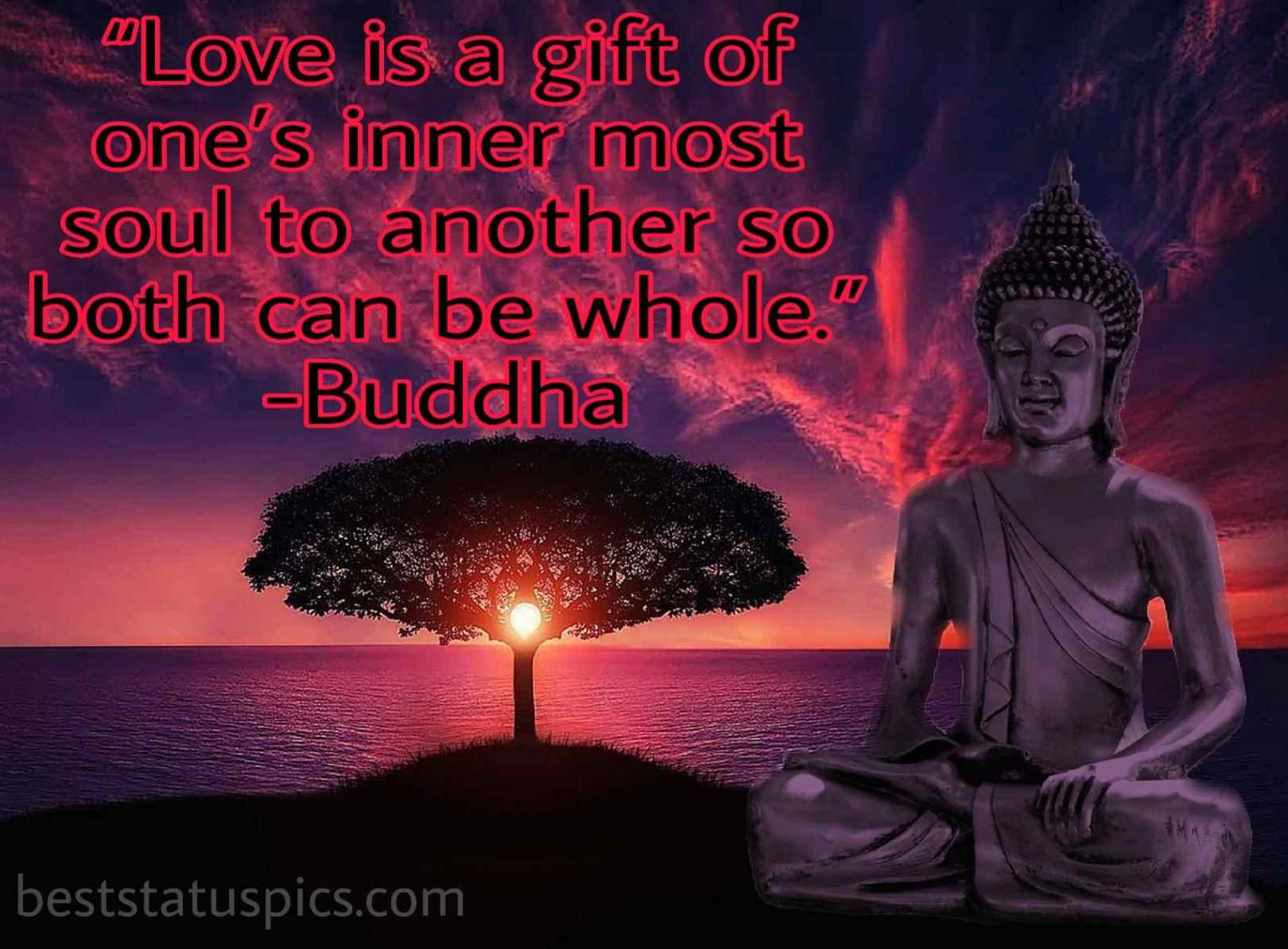 Best Buddha Quotes On Love With Images Best Status Pics