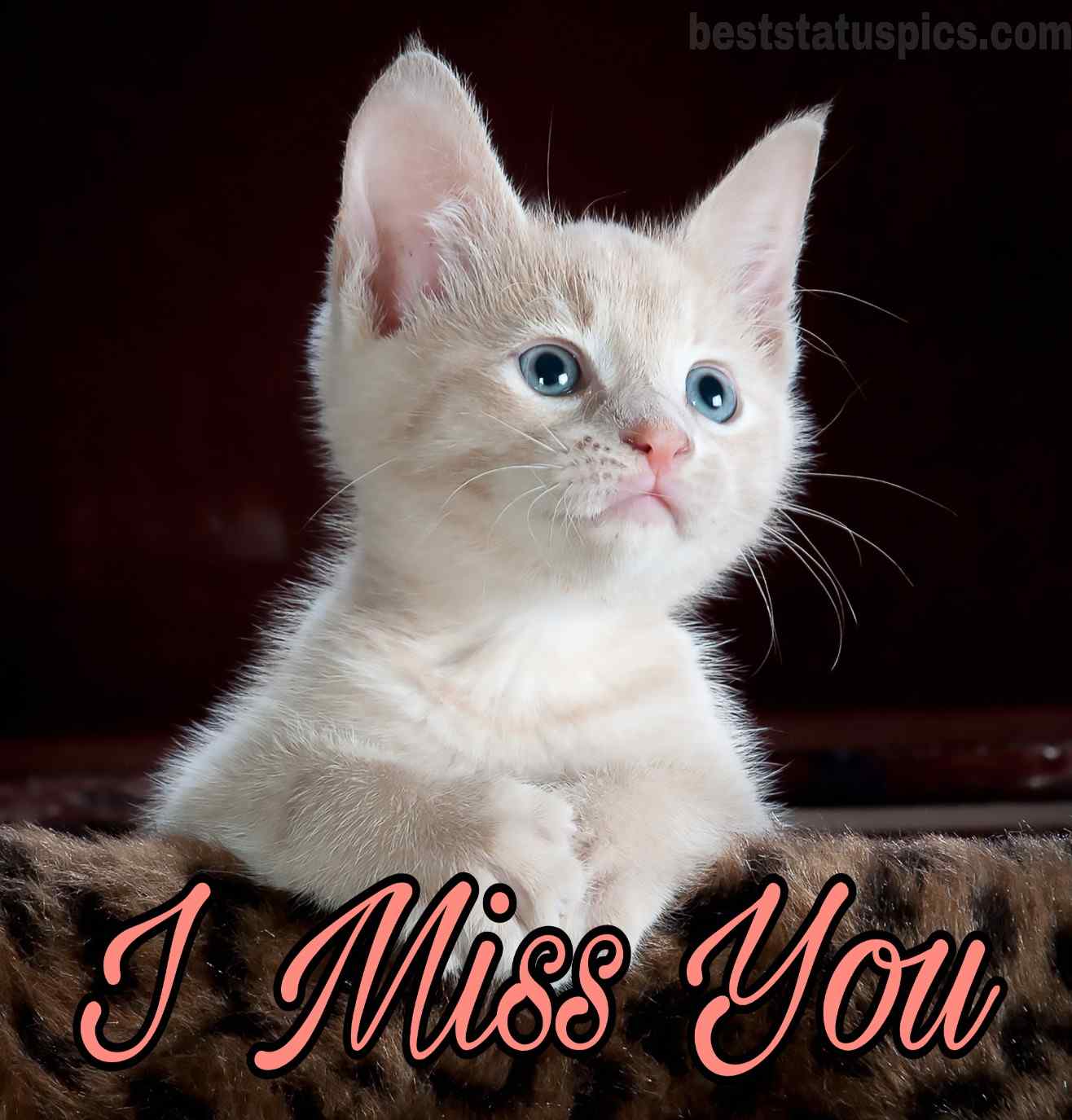 Top 51 I Miss You Whatsapp DP, Pictures, Images, Photo - Best ...