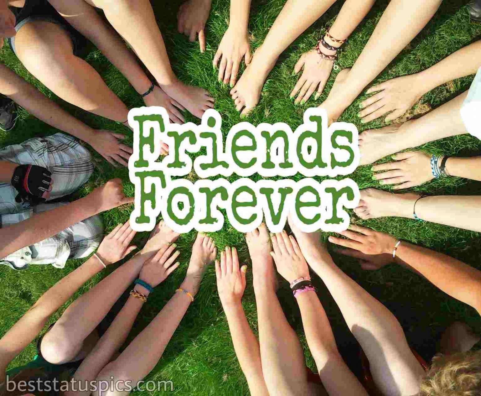 Friends Forever Whatsapp DP, Images, Quotes, Status Best Status Pics