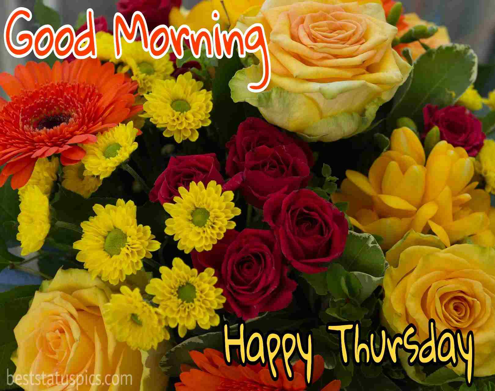 Good Morning Happy Thursday Image
