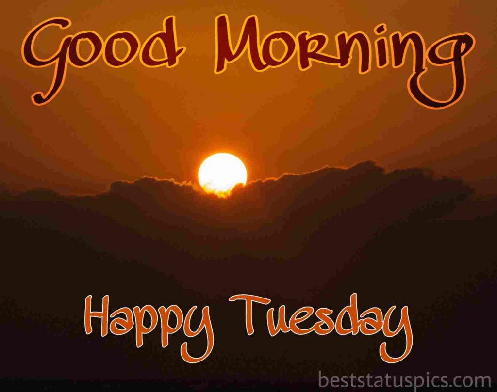 53+ Good Morning Happy Tuesday Images HD, Wishes [2024] - Best Status Pics