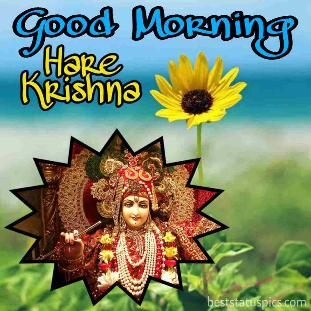 41+ Shree Krishna Good Morning Images HD, Pics, Photos Best Status Pics