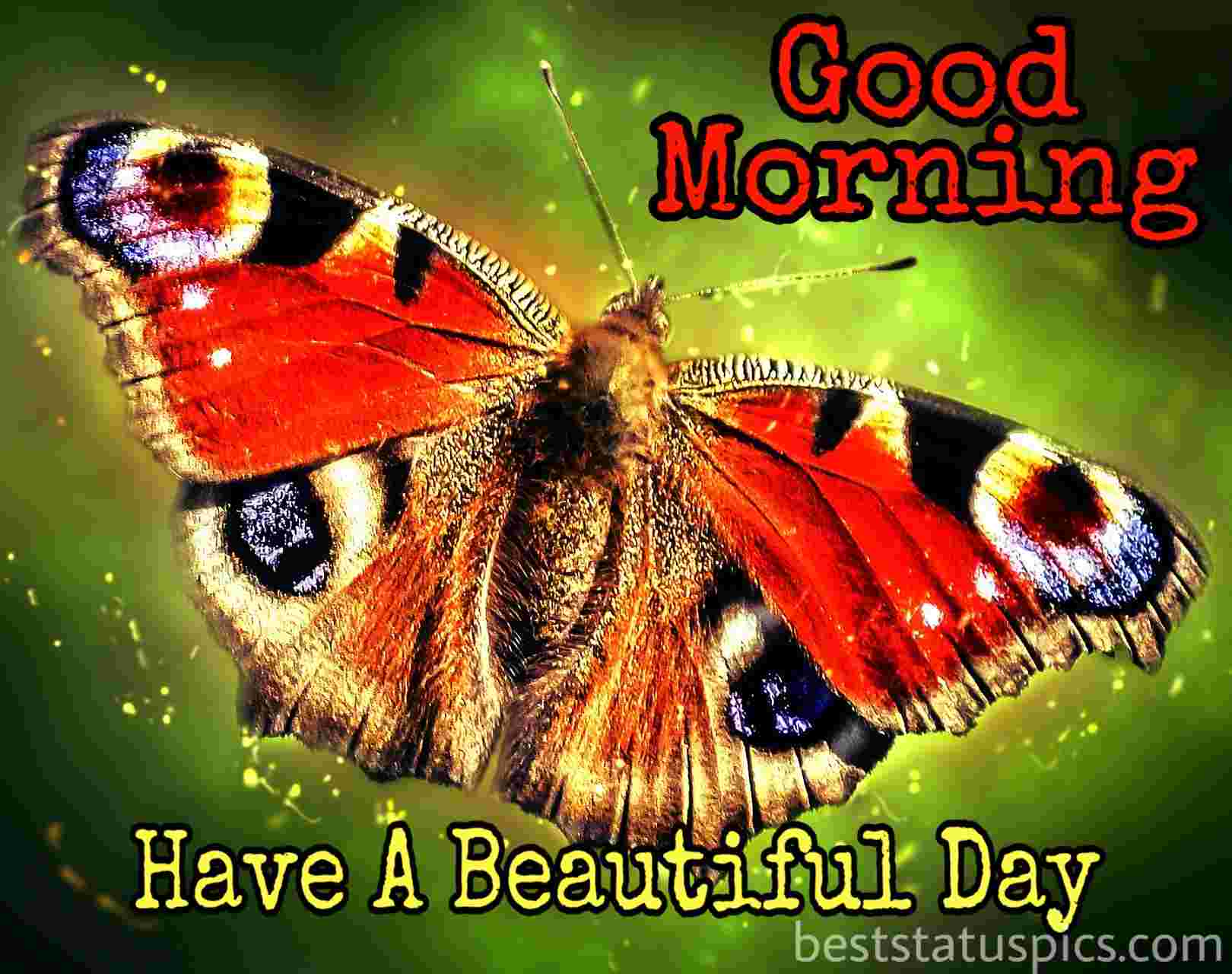Beautiful lovely good morning picture HD with butterfly