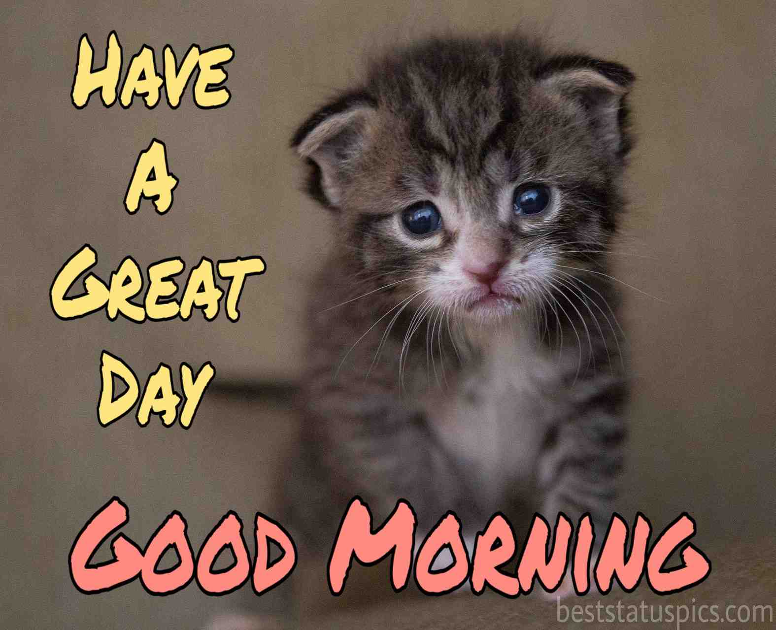51+ Cute Good Morning Baby Images Pictures For Whatsapp - Best Status Pics