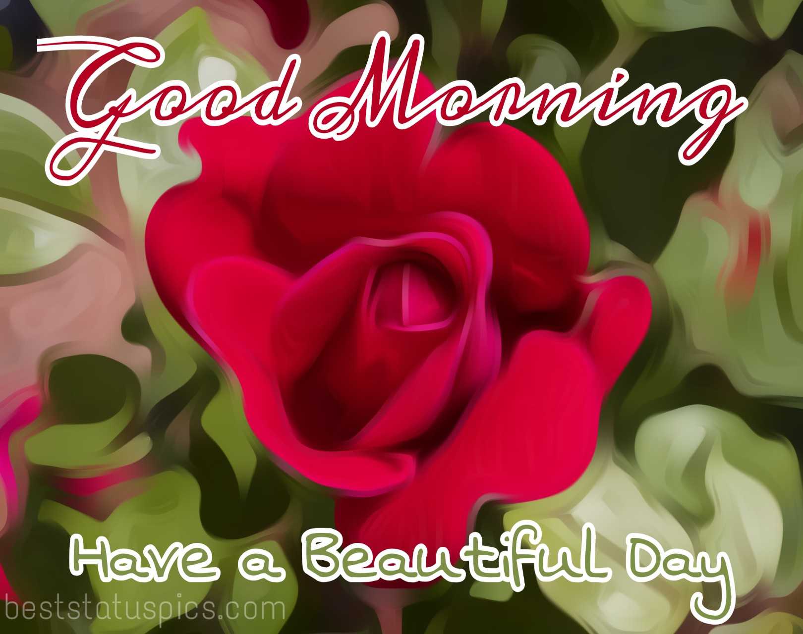Beautiful Good morning pictures with rose flower