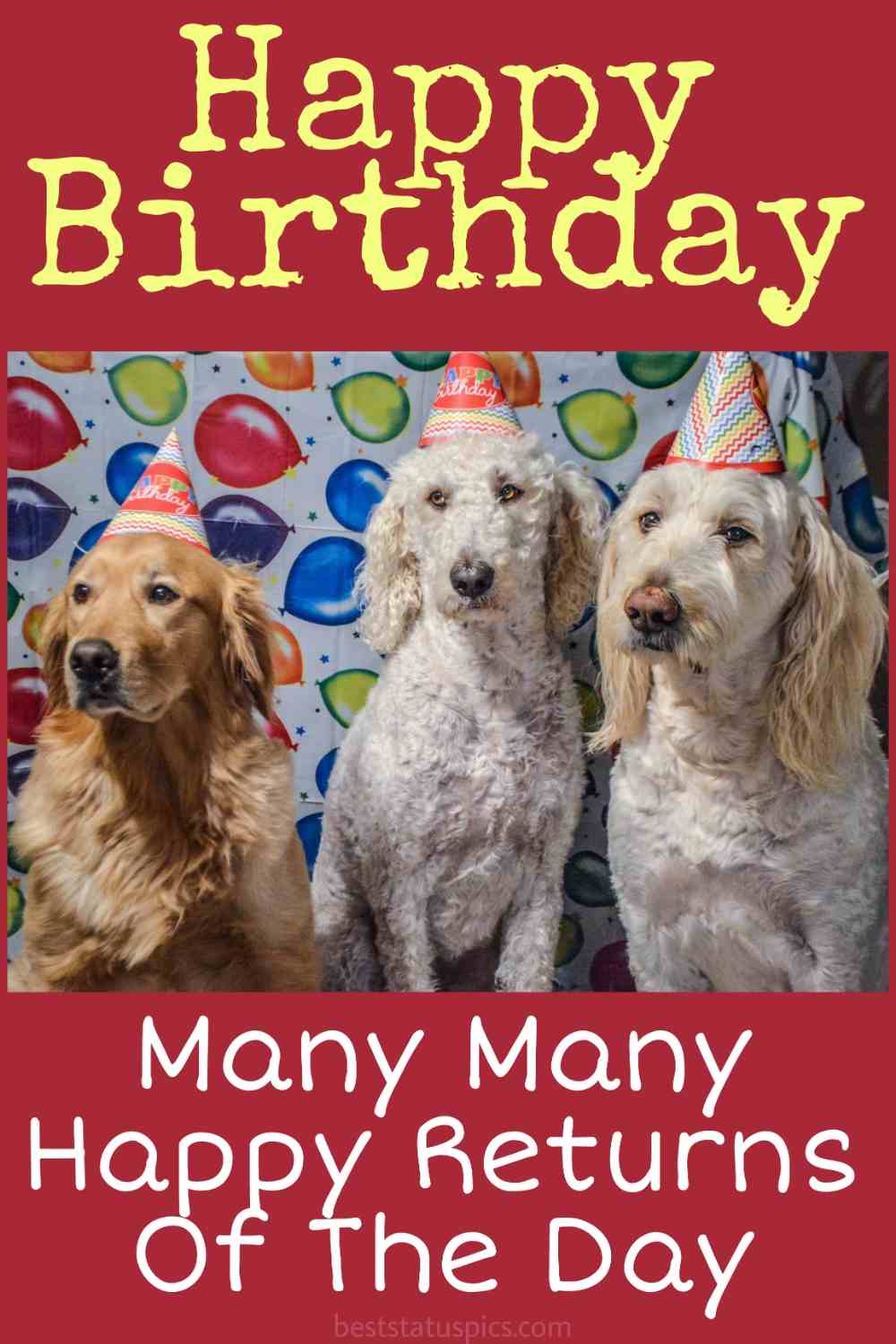 happy birthday lovely dogs images for him, her, boyfriend and girlfriend