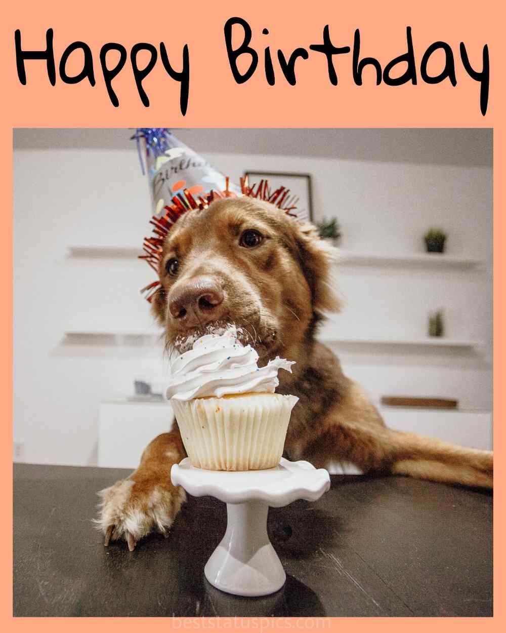 happy birthday cute dog image and card for cousin, niece and friend