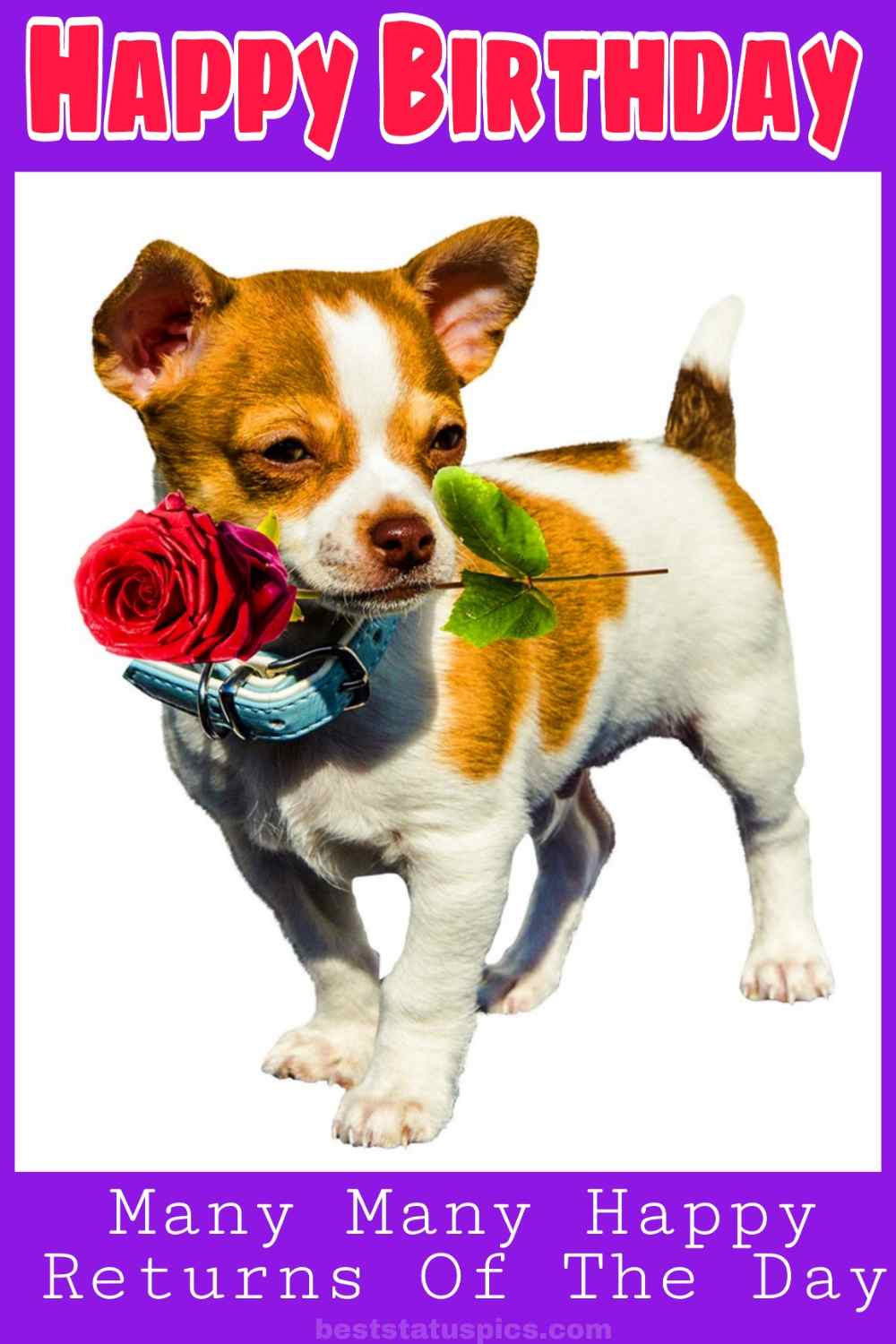 happy birthday picture with cute puppy and rose for girlfriend or her