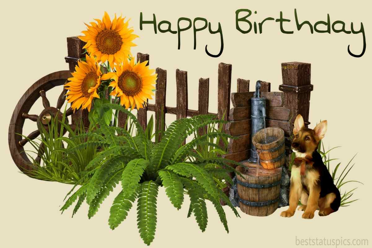 happy birthday greeting card with beautiful dogs for him or her