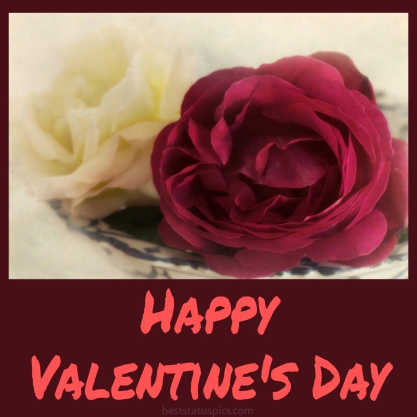 Happy Valentine’s Day 2022 greeting card with cute rose