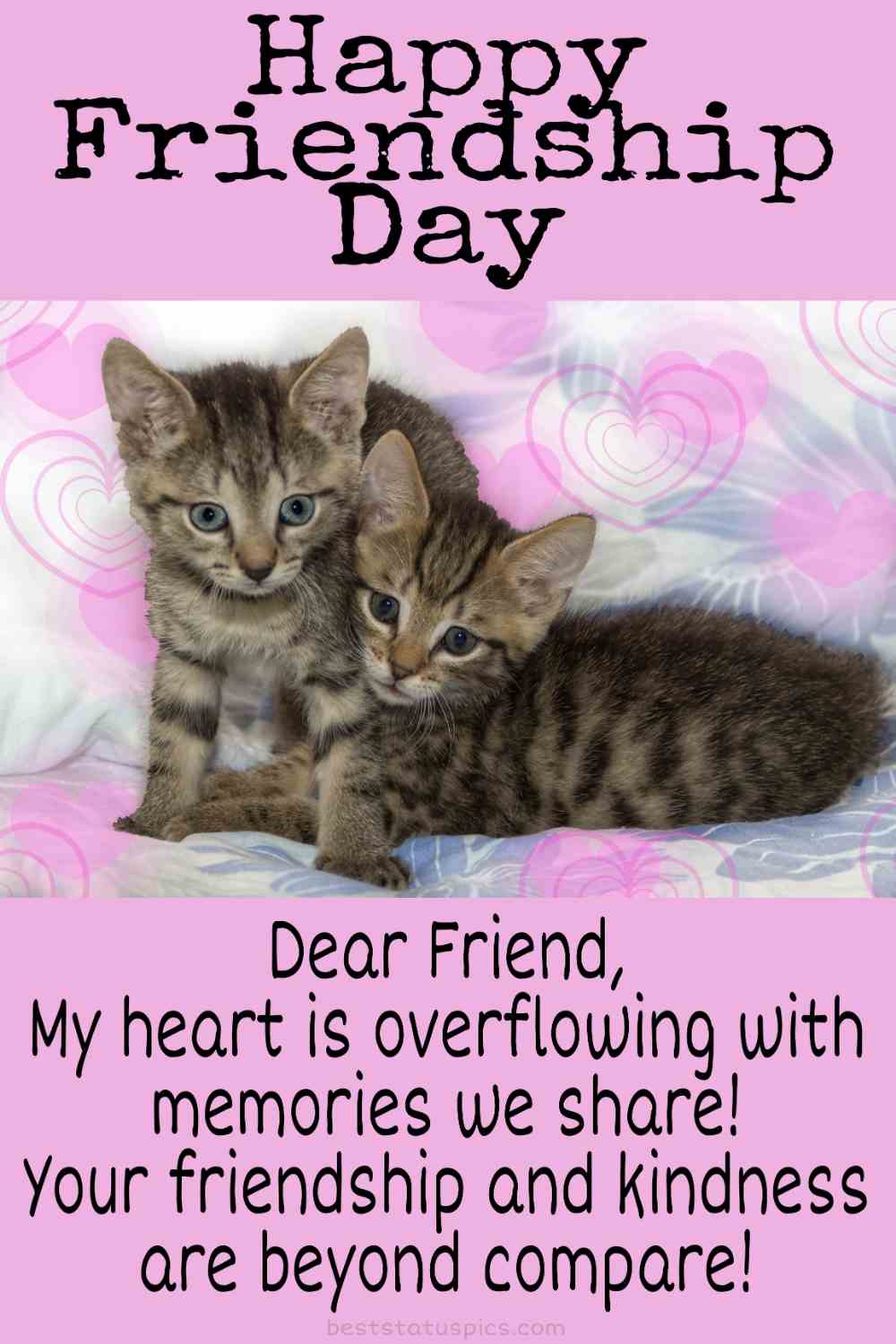 Happy Friendship Day 2022 greeting cards and quotes with cats image