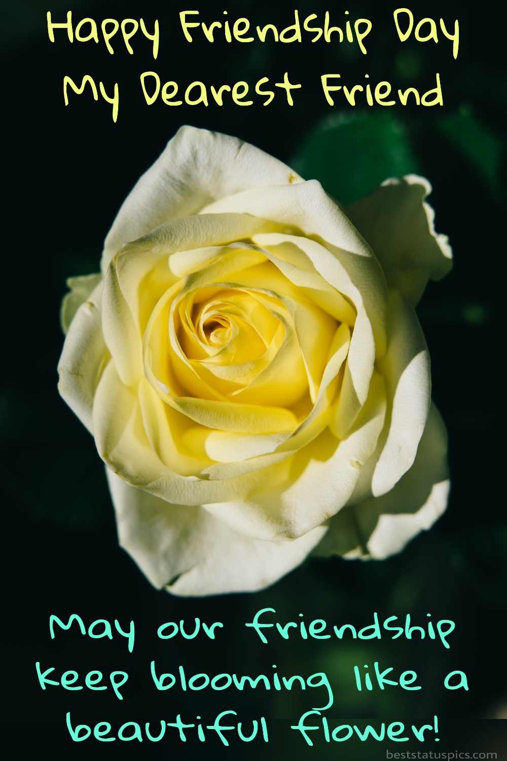 Happy Friendship Day 2022 wishes and quotes with yellow rose pictures