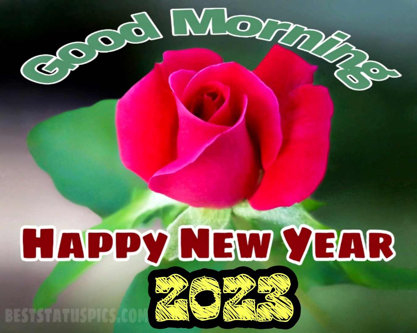 Good Morning and Happy New Year 2023 greeting card with red rose for love