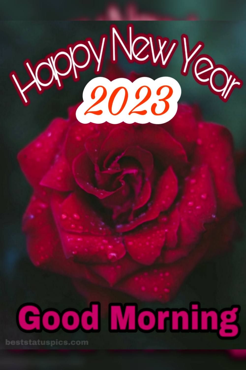 Cute Happy New Year 2023 Good Morning pic with red rose