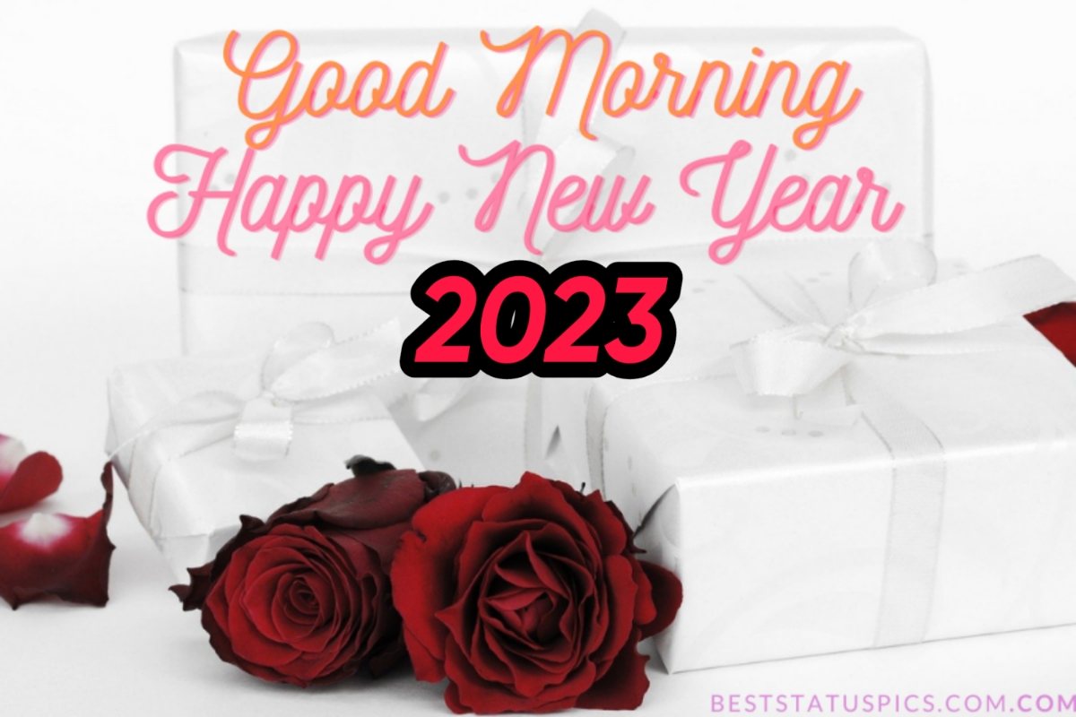 Happy New Year 2023 Good Morning images with red rose for Whatsapp DP