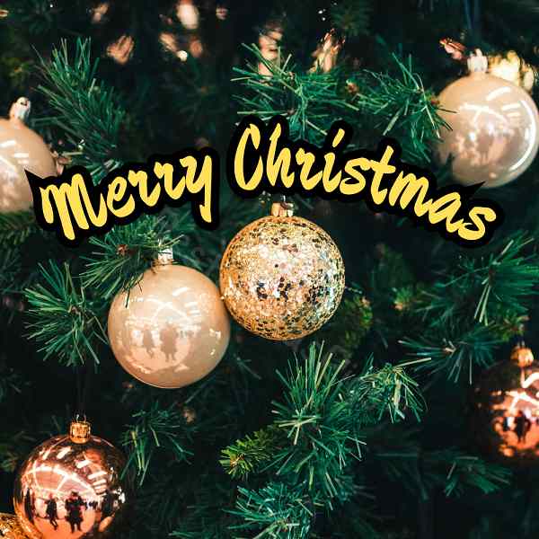 Best Christmas Captions for Instagram