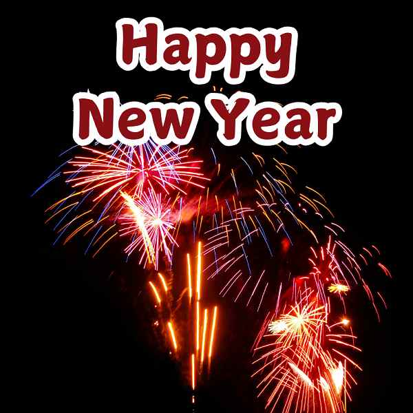 Best New Year 2025 Instagram Captions for friends and family